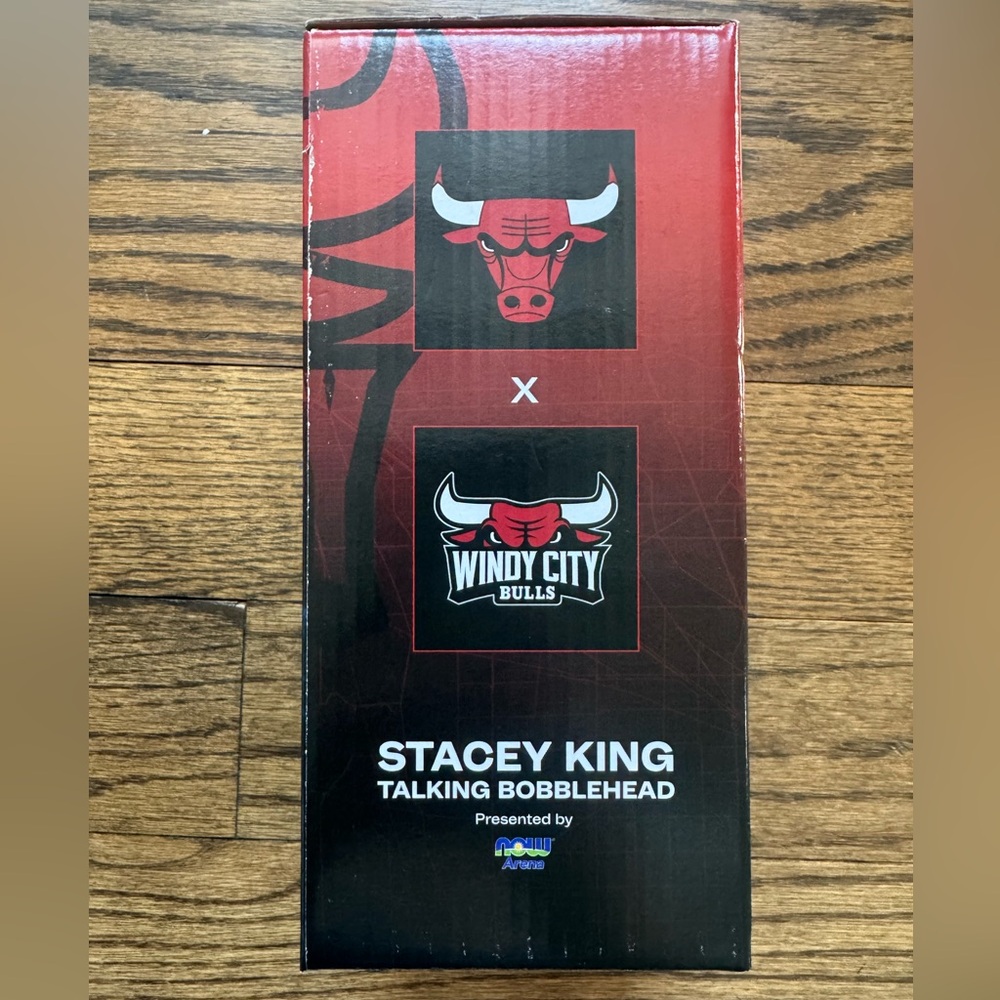 Stacey King Talking Bobblehead – Windy City Bulls / Chicago Bulls – NEW in Box - Picture 3 of 6